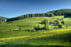 Fizjoterapeuta: Klucz do Szybkiej Regeneracji i Lepszego Zdrowia!